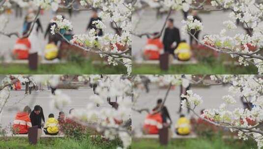 4K100p春季赏花的人群高清在线视频素材下载