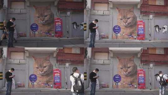 上海猫街街景高清在线视频素材下载