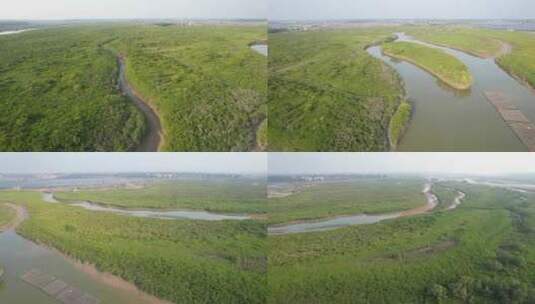 湛江高桥红树林保护区航拍高清在线视频素材下载