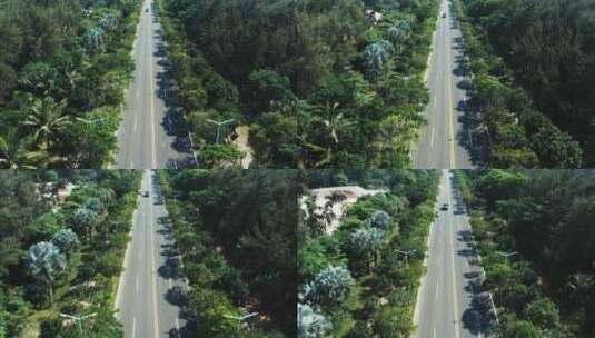 航拍海南博鳌的椰林城市道路高清在线视频素材下载