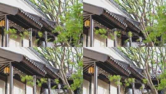 传统中式别墅园林建筑屋檐高清在线视频素材下载