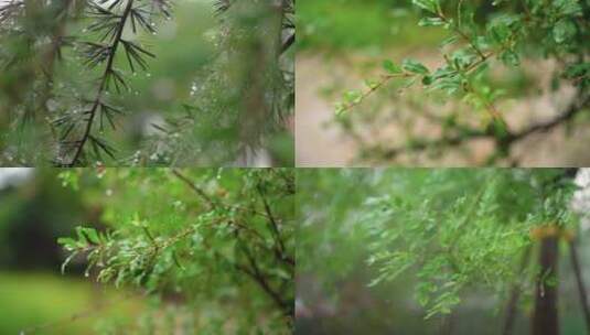 下雨天空镜高清在线视频素材下载