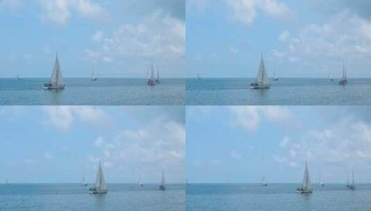 帆船比赛高清在线视频素材下载