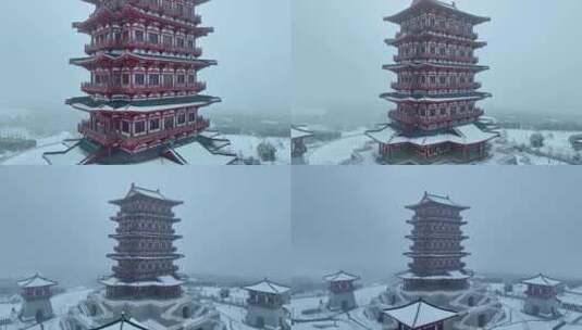 航拍牡丹博物馆雪景高清在线视频素材下载