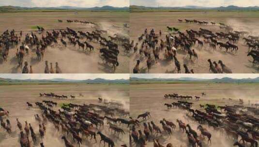 马群奔跑，放牧人骑马驱赶高清在线视频素材下载