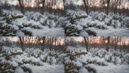 冬天雪景高清在线视频素材下载