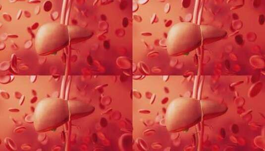 肝脏器官与生物医学3D渲染高清在线视频素材下载