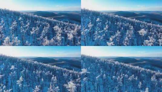 林海雪原 唯美高山雾凇高清在线视频素材下载