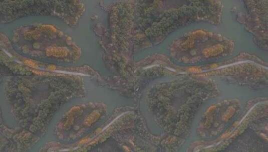 济南济西湿地秋季航拍高清在线视频素材下载