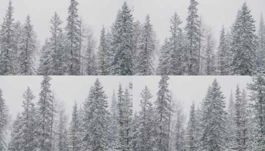冬季森林暴雪特写空镜头高清在线视频素材下载