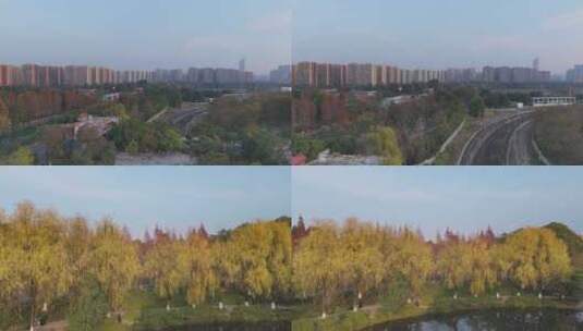 秋天城市公园航拍高清在线视频素材下载