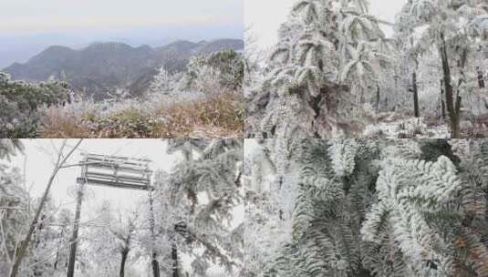 阳光下大雪覆盖的龙门山杏梅尖原始森林高清在线视频素材下载