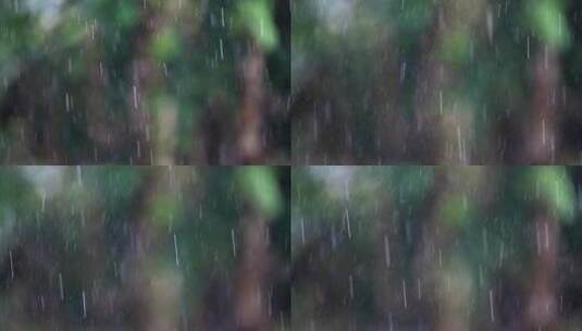 下雨天雨水空镜头高清在线视频素材下载