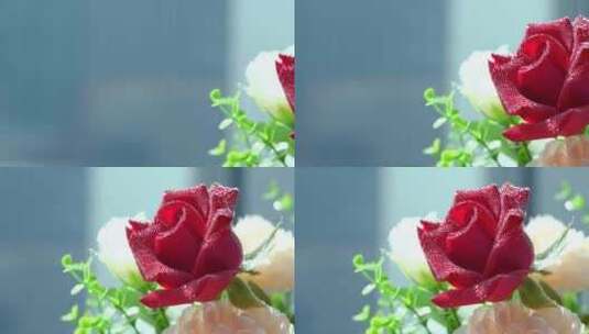 玫瑰花 盛开高清在线视频素材下载