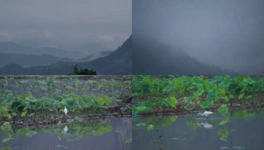 意境中国生态家园中国乡村美景高清在线视频素材下载