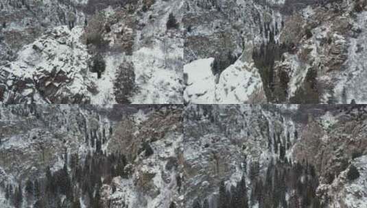 冬天在犹他州瓦萨奇山脉白雪皑皑的美国福克高清在线视频素材下载