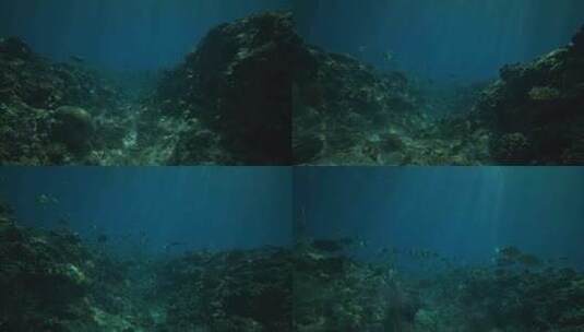 海底世界实拍高清在线视频素材下载