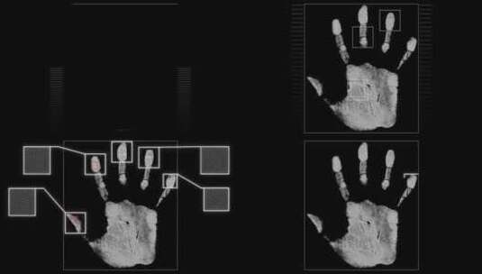 指纹掌纹扫描系统界面展示高清在线视频素材下载