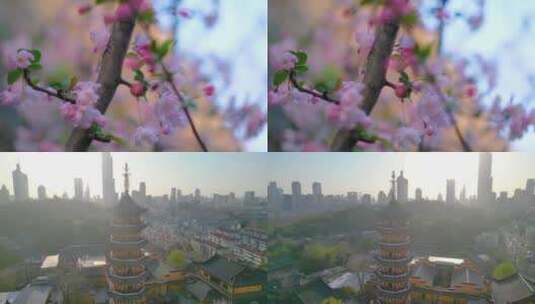 南京玄武区玄武湖景区古鸡鸣寺游客观赏樱花高清在线视频素材下载