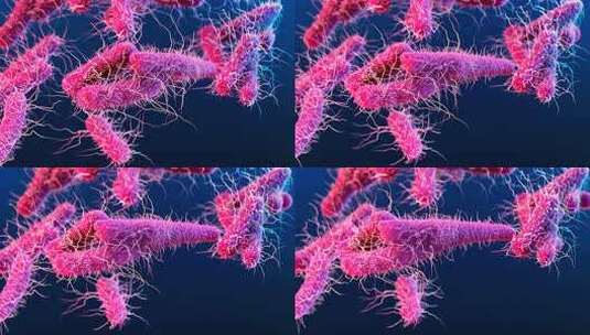 病毒细菌细胞膜HIV艾滋病毒特写高清在线视频素材下载