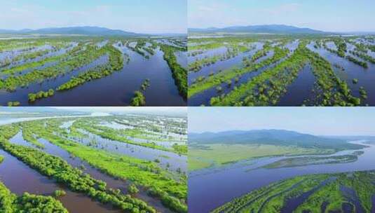 乌苏里江 江河交织 天然氧吧 自然航拍高清在线视频素材下载