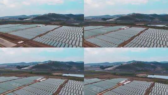 航拍农业大棚基地高清在线视频素材下载