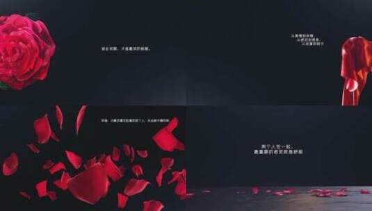 红绸玫瑰浪漫结婚爱情文字片头AE模板高清AE视频素材下载