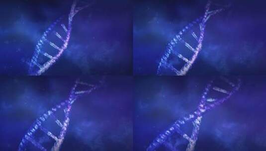 dna螺旋基因高清在线视频素材下载