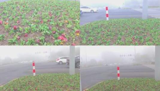 大雾细雨中的路口红绿灯高清在线视频素材下载