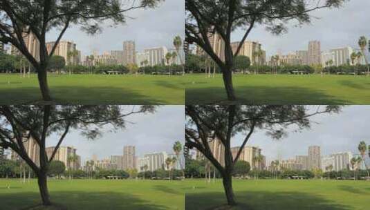 城市公园和城市建筑景观高清在线视频素材下载