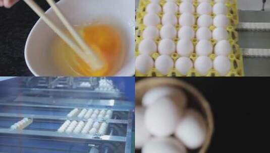 鸡蛋生产加工流水线高清在线视频素材下载
