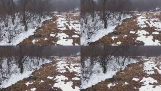 安吉 安吉雪景 安吉秋天 冬季 雪景高清在线视频素材下载