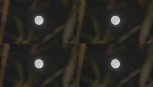 皎洁的月亮高清在线视频素材下载
