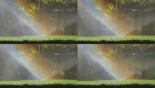 草地灌溉洒水器高清在线视频素材下载