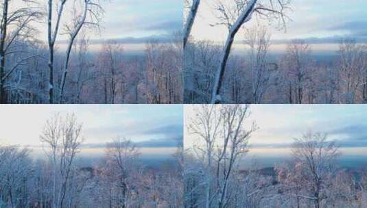无人机在日落时分飞过被雪覆盖的树木高清在线视频素材下载