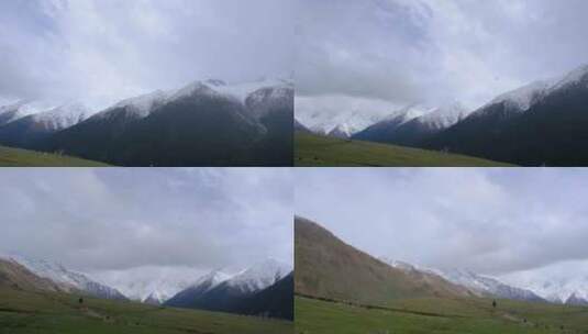 新疆夏塔森林公园的草原雪山森林绝美风光高清在线视频素材下载