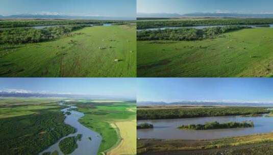 航拍河流湿地生态高清在线视频素材下载