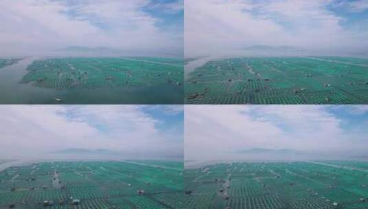 4k航拍山东烟台芝罘区水产养殖高清在线视频素材下载