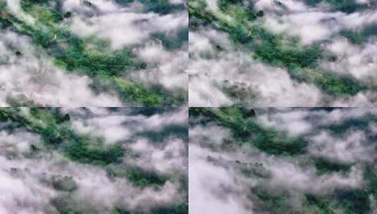 航拍森林云雾云海 秦岭山脉高清在线视频素材下载