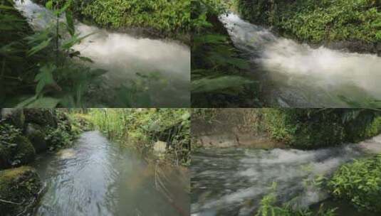 成都湿地青城山泉水高清实拍视频高清在线视频素材下载