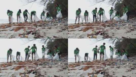 志愿者清洁海滩高清在线视频素材下载