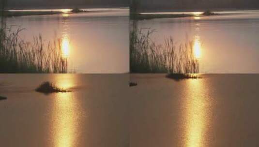 沂河河面落日夕阳美景高清在线视频素材下载