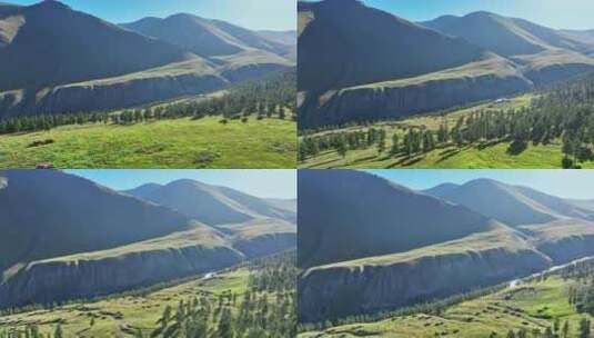 航拍新疆东天山原始森林高山草原风光高清在线视频素材下载