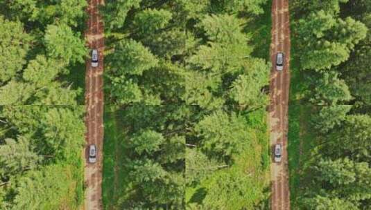 航拍汽车行驶在森林道路高清在线视频素材下载