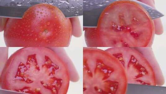 番茄 西红柿 大棚番茄 大棚西红柿高清在线视频素材下载