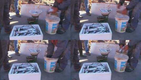 渔民在黎巴嫩提尔展示他们的渔获高清在线视频素材下载