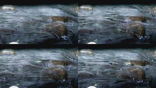 山涧里的流水高清在线视频素材下载