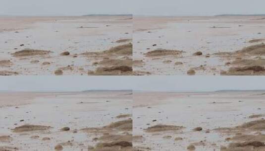 海边的泥滩高清在线视频素材下载