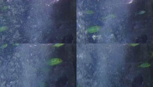 海底气泡水下世界海洋神秘高清在线视频素材下载