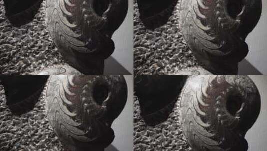 古生物史前生物鹦鹉螺化石高清在线视频素材下载